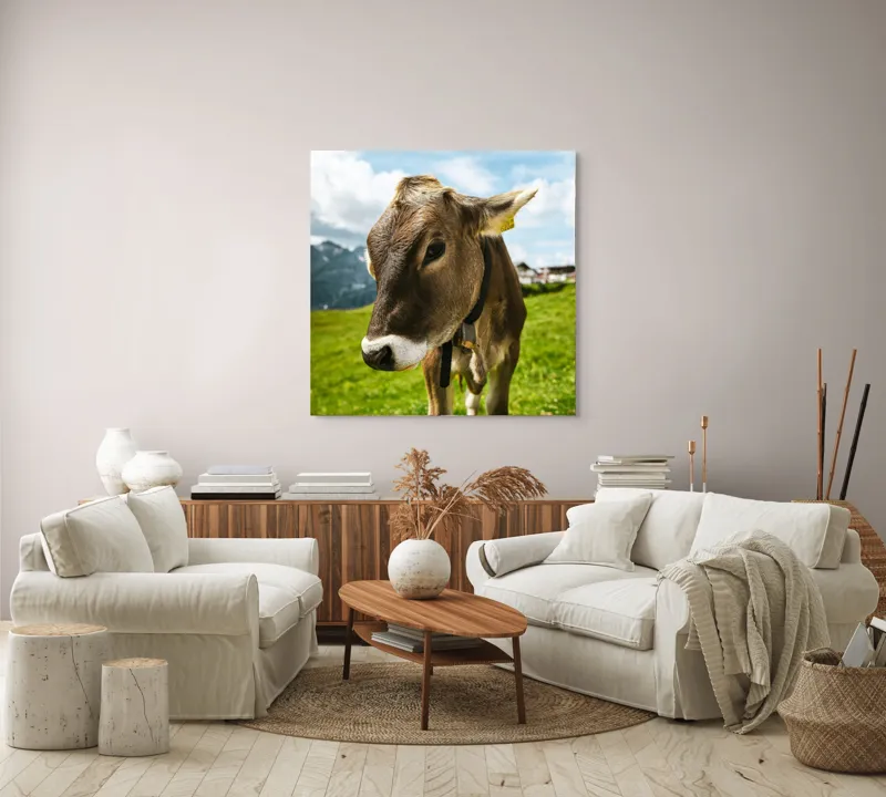 Tablou Canvas, "Vițelul din munții înverziți", Vacă, Verdeață, Munți, Cer, Nori, 100 x 100 cm – poza 3