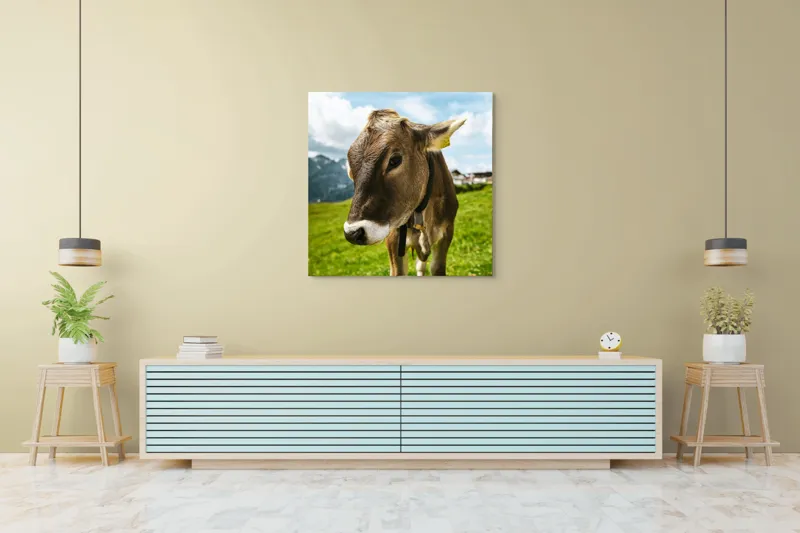 Tablou Canvas, "Vițelul din munții înverziți", Vacă, Verdeață, Munți, Cer, Nori, 100 x 100 cm – poza 5