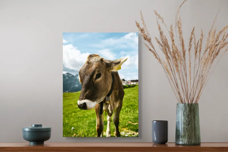 Tablou Canvas, "Vițelul din munții înverziți", Vacă, Verdeață, Munți, Cer, Nori, 39 x 54 cm – poza 3