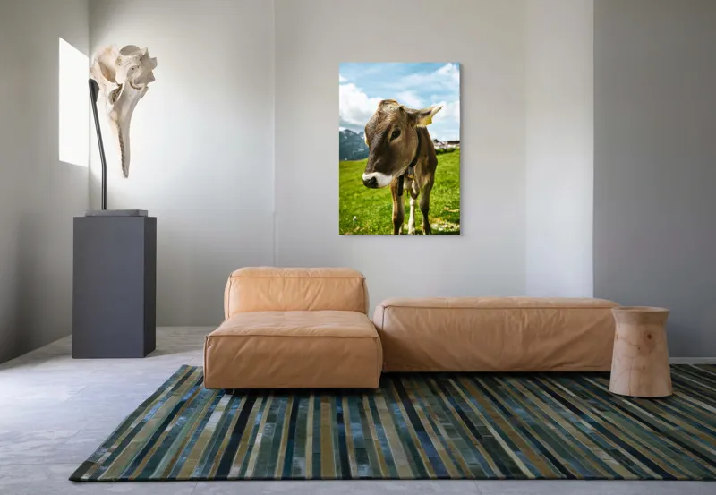 Tablou Canvas, "Vițelul din munții înverziți", Vacă, Verdeață, Munți, Cer, Nori, 70 x 100 cm – poza 7