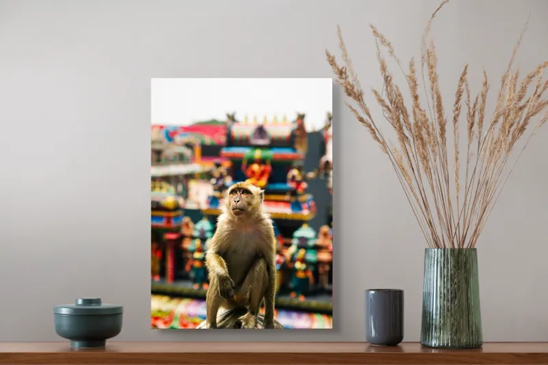 Tablou Canvas, "Maimuța în fața templelor colorate", Nu pot ajuta cu identificarea persoanelor sau animalelor din imagini., 39 x 54 cm – poza 3
