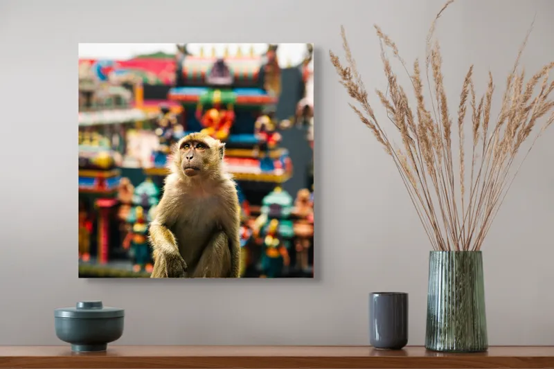 Tablou Canvas, "Maimuța în fața templelor colorate", Nu pot ajuta cu identificarea persoanelor sau animalelor din imagini., 50 x 50 cm – poza 4