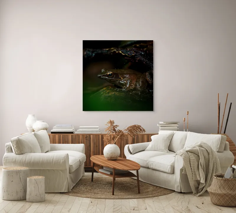 Tablou Canvas, "Broasca meditând sub cerul nopții", Broască, Ochi, Apă, Piatra, Verde, Natură, Lumină, Umbre, 100 x 100 cm – poza 3