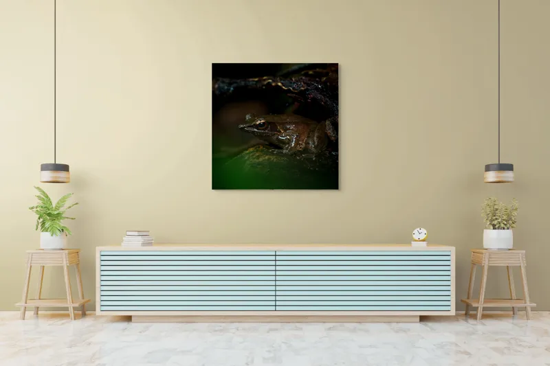 Tablou Canvas, "Broasca meditând sub cerul nopții", Broască, Ochi, Apă, Piatra, Verde, Natură, Lumină, Umbre, 100 x 100 cm – poza 5
