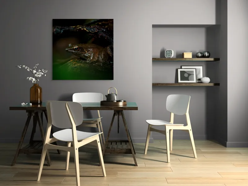 Tablou Canvas, "Broasca meditând sub cerul nopții", Broască, Ochi, Apă, Piatra, Verde, Natură, Lumină, Umbre, 100 x 100 cm – poza 6