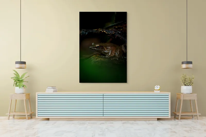 Tablou Canvas, "Broasca meditând sub cerul nopții", Broască, Ochi, Apă, Piatra, Verde, Natură, Lumină, Umbre, 100 x 150 cm – poza 4