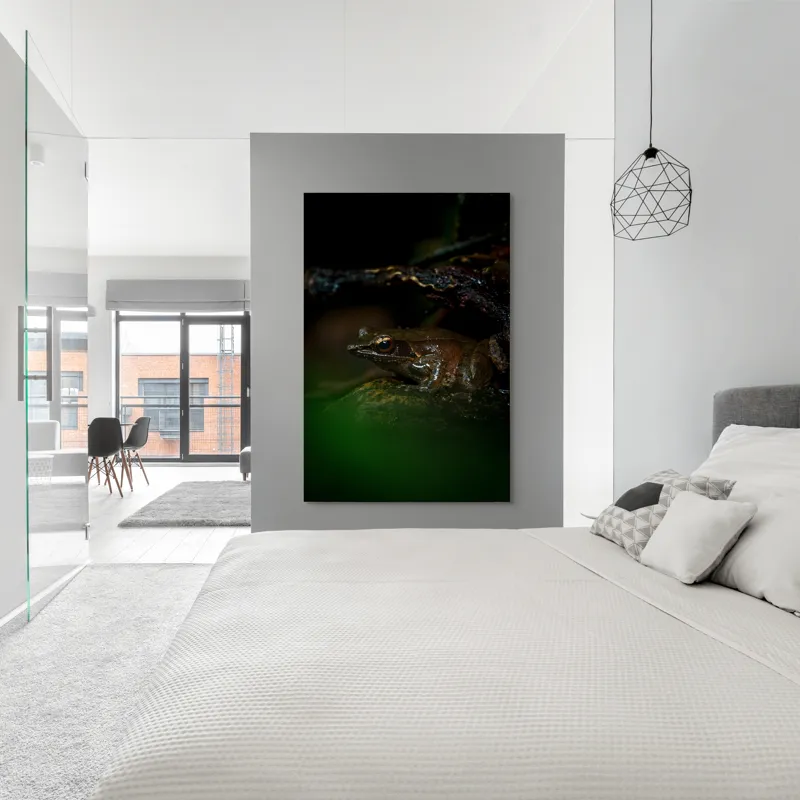 Tablou Canvas, "Broasca meditând sub cerul nopții", Broască, Ochi, Apă, Piatra, Verde, Natură, Lumină, Umbre, 100 x 150 cm – poza 5