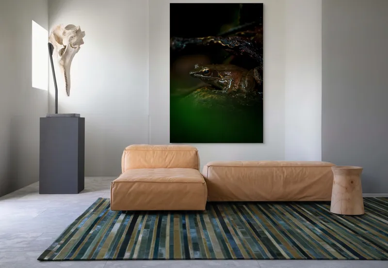 Tablou Canvas, "Broasca meditând sub cerul nopții", Broască, Ochi, Apă, Piatra, Verde, Natură, Lumină, Umbre, 100 x 150 cm – poza 7