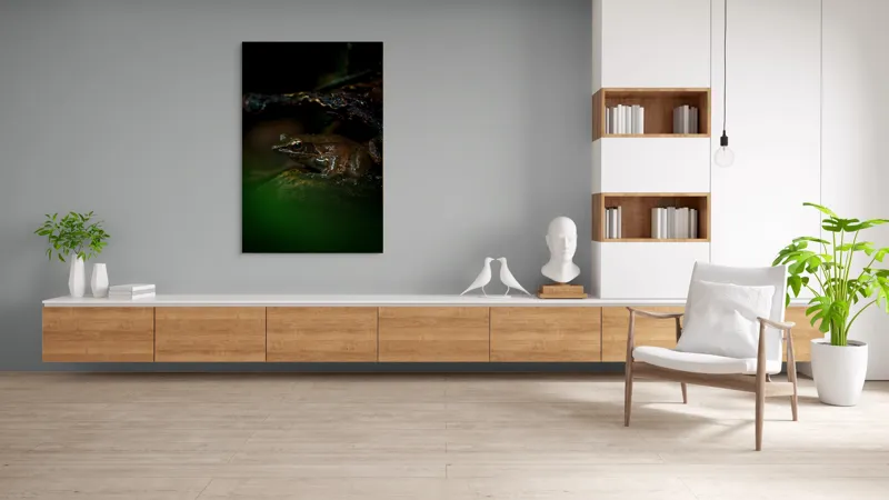Tablou Canvas, "Broasca meditând sub cerul nopții", Broască, Ochi, Apă, Piatra, Verde, Natură, Lumină, Umbre, 100 x 150 cm – poza 8