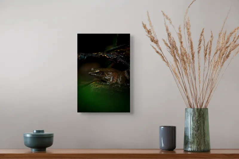 Tablou Canvas, "Broasca meditând sub cerul nopții", Broască, Ochi, Apă, Piatra, Verde, Natură, Lumină, Umbre, 26 x 39 cm – poza 5