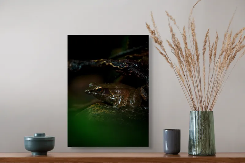 Tablou Canvas, "Broasca meditând sub cerul nopții", Broască, Ochi, Apă, Piatra, Verde, Natură, Lumină, Umbre, 39 x 54 cm – poza 3