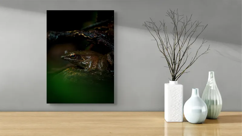 Tablou Canvas, "Broasca meditând sub cerul nopții", Broască, Ochi, Apă, Piatra, Verde, Natură, Lumină, Umbre, 39 x 54 cm – poza 4