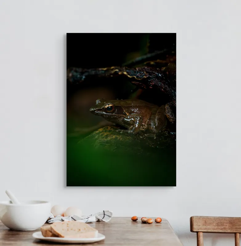 Tablou Canvas, "Broasca meditând sub cerul nopții", Broască, Ochi, Apă, Piatra, Verde, Natură, Lumină, Umbre, 50 x 70 cm – poza 3