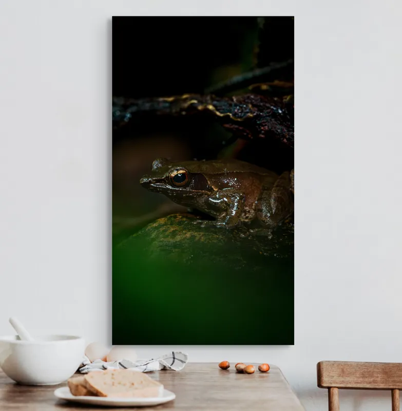 Tablou Canvas, "Broasca meditând sub cerul nopții", Broască, Ochi, Apă, Piatra, Verde, Natură, Lumină, Umbre, 50 x 90 cm – poza 3