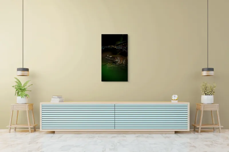 Tablou Canvas, "Broasca meditând sub cerul nopții", Broască, Ochi, Apă, Piatra, Verde, Natură, Lumină, Umbre, 50 x 90 cm – poza 6