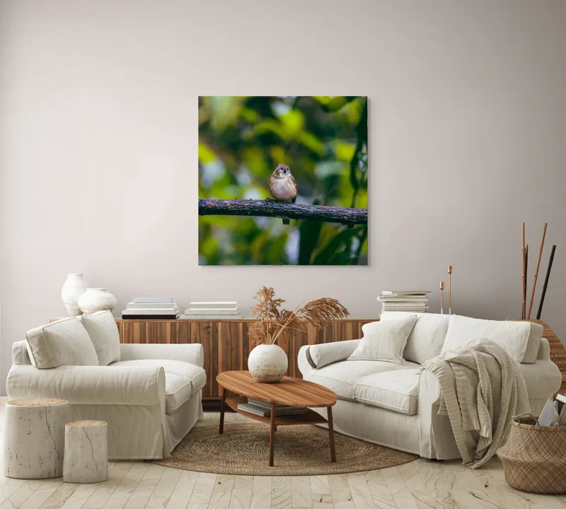 Tablou Canvas, "Pasărea visătoare pe creangă verde", Pasăre, Ramură, Frunze, Verdeață, Lumină, Claritate, Natură, Voinicie, 100 x 100 cm – poza 3