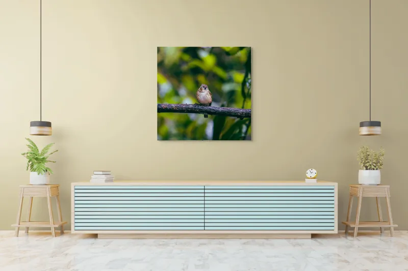 Tablou Canvas, "Pasărea visătoare pe creangă verde", Pasăre, Ramură, Frunze, Verdeață, Lumină, Claritate, Natură, Voinicie, 100 x 100 cm – poza 5