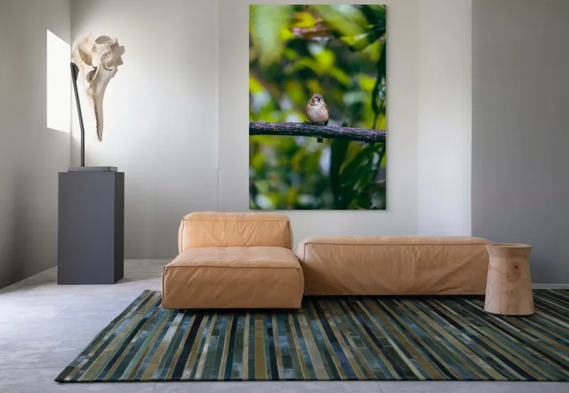 Tablou Canvas, "Pasărea visătoare pe creangă verde", Pasăre, Ramură, Frunze, Verdeață, Lumină, Claritate, Natură, Voinicie, 100 x 150 cm – poza 7