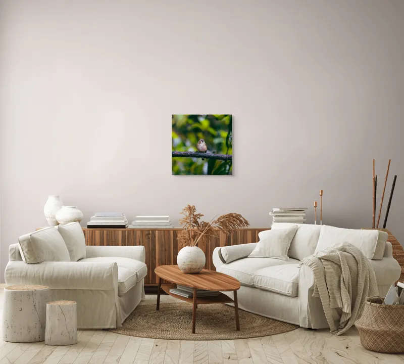 Tablou Canvas, "Pasărea visătoare pe creangă verde", Pasăre, Ramură, Frunze, Verdeață, Lumină, Claritate, Natură, Voinicie, 50 x 50 cm – poza 7