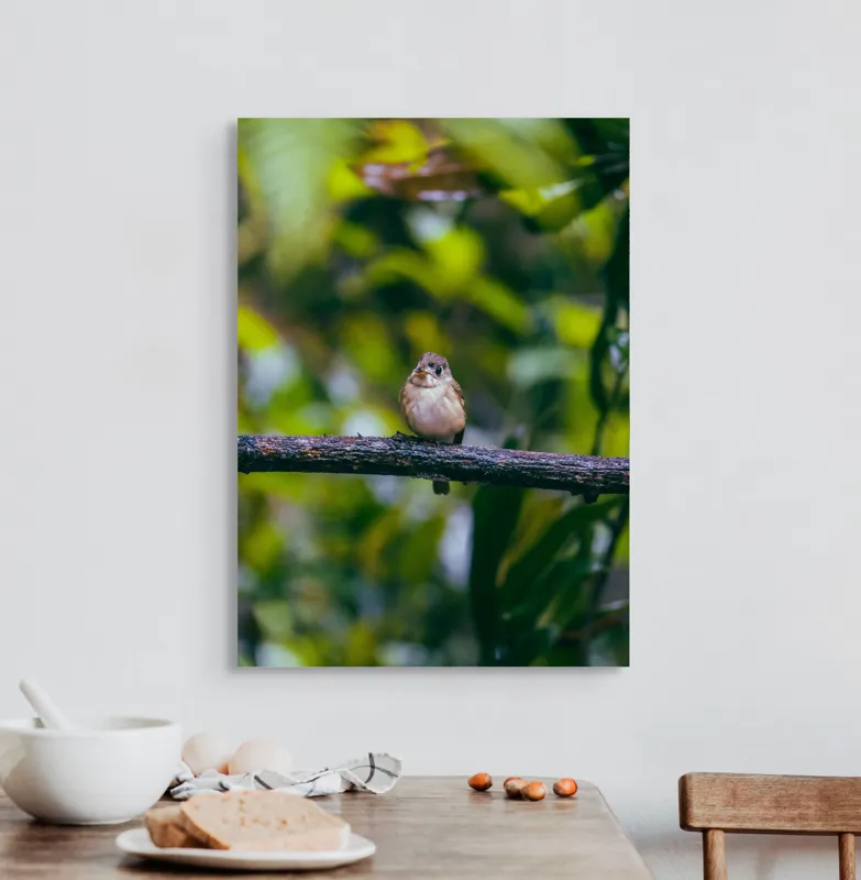 Tablou Canvas, "Pasărea visătoare pe creangă verde", Pasăre, Ramură, Frunze, Verdeață, Lumină, Claritate, Natură, Voinicie, 50 x 70 cm – poza 3