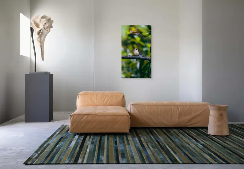 Tablou Canvas, "Pasărea visătoare pe creangă verde", Pasăre, Ramură, Frunze, Verdeață, Lumină, Claritate, Natură, Voinicie, 50 x 90 cm – poza 5