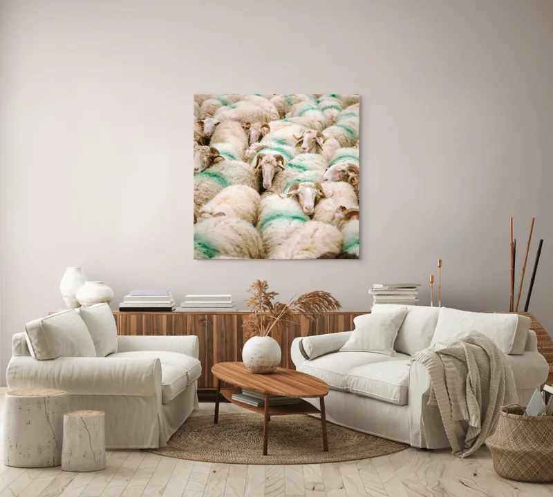 Tablou Canvas, "Turmă de oi în mișcare", Oi, Lână, Mulțime, Îngrămădite, Verzi, Vopsit, Cornute, Păr, Pufoase, Grijulii, 100 x 100 cm – poza 3