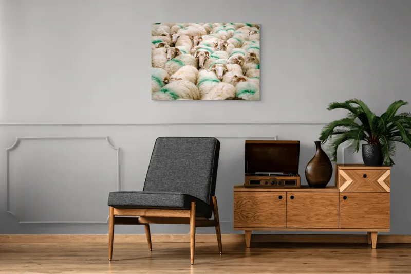 Tablou Canvas, "Turmă de oi în mișcare", Oi, Lână, Mulțime, Îngrămădite, Verzi, Vopsit, Cornute, Păr, Pufoase, Grijulii, 100 x 70 cm – poza 8
