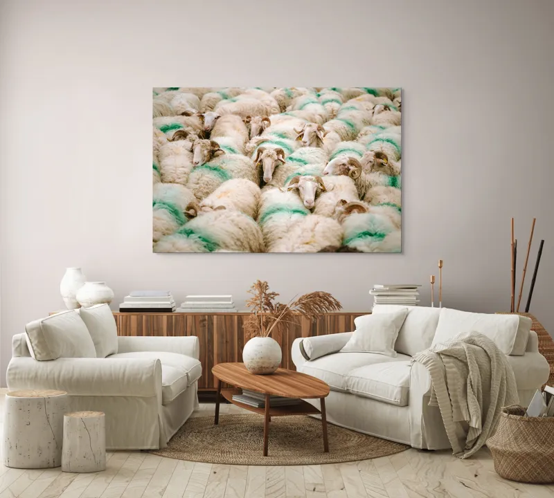 Tablou Canvas, "Turmă de oi în mișcare", Oi, Lână, Mulțime, Îngrămădite, Verzi, Vopsit, Cornute, Păr, Pufoase, Grijulii, 150 x 100 cm – poza 3