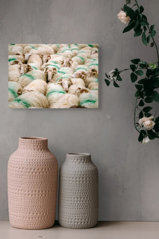 Tablou Canvas, "Turmă de oi în mișcare", Oi, Lână, Mulțime, Îngrămădite, Verzi, Vopsit, Cornute, Păr, Pufoase, Grijulii, 54 x 39 cm – poza 8