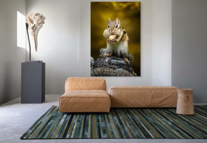 Tablou Canvas, "Veveriță pofticioasă pe buturugă aurie", Chipmunk, Alune, Copac, Natură, Blană, Ochii, Picioare, Fundal, Galben, Poză, Lemn, Bot, Față, 100 x 150 cm – poza 7