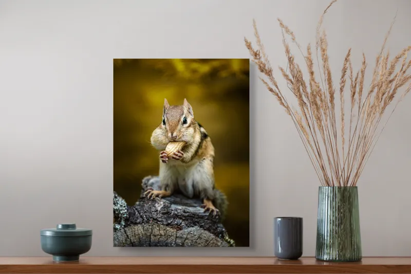 Tablou Canvas, "Veveriță pofticioasă pe buturugă aurie", Chipmunk, Alune, Copac, Natură, Blană, Ochii, Picioare, Fundal, Galben, Poză, Lemn, Bot, Față, 39 x 54 cm – poza 3