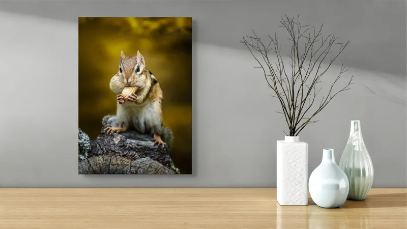 Tablou Canvas, "Veveriță pofticioasă pe buturugă aurie", Chipmunk, Alune, Copac, Natură, Blană, Ochii, Picioare, Fundal, Galben, Poză, Lemn, Bot, Față, 39 x 54 cm – poza 4