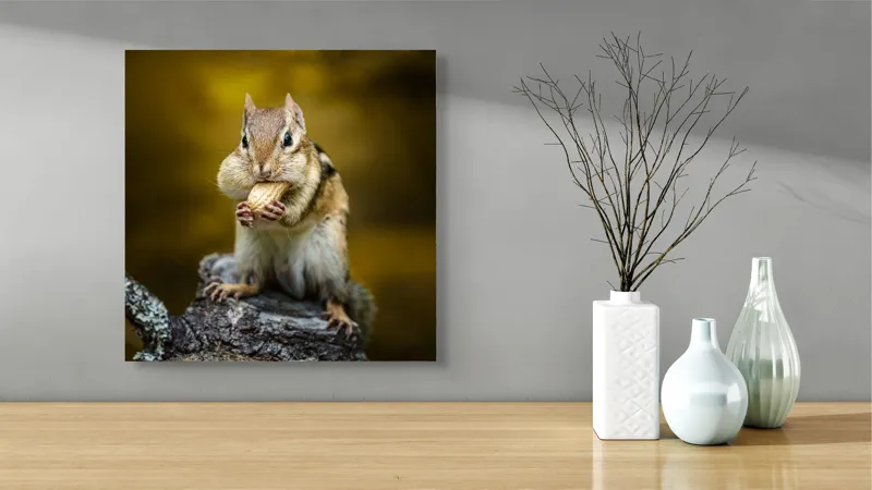 Tablou Canvas, "Veveriță pofticioasă pe buturugă aurie", Chipmunk, Alune, Copac, Natură, Blană, Ochii, Picioare, Fundal, Galben, Poză, Lemn, Bot, Față, 50 x 50 cm – poza 3