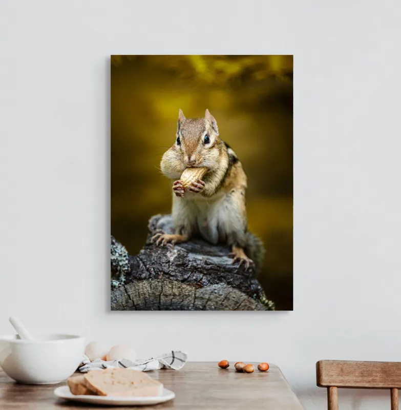 Tablou Canvas, "Veveriță pofticioasă pe buturugă aurie", Chipmunk, Alune, Copac, Natură, Blană, Ochii, Picioare, Fundal, Galben, Poză, Lemn, Bot, Față, 50 x 70 cm – poza 3