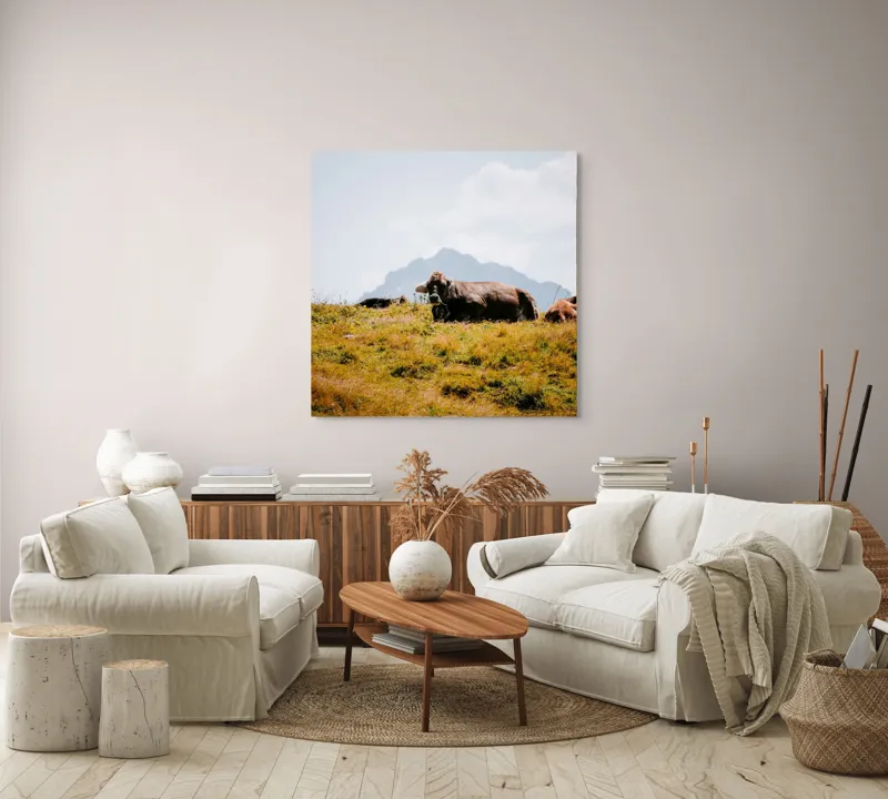Tablou Canvas, "Bivolii odihnindu-se pe deal însorit", Peisaj, Munți, Iarbă, Vaci, Cer, Nori, Natură, Relaxare, 100 x 100 cm – poza 3