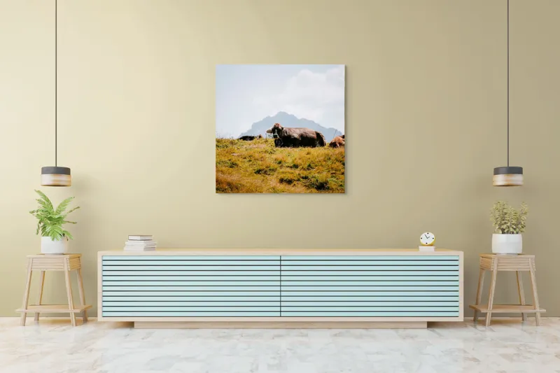 Tablou Canvas, "Bivolii odihnindu-se pe deal însorit", Peisaj, Munți, Iarbă, Vaci, Cer, Nori, Natură, Relaxare, 100 x 100 cm – poza 5