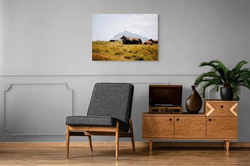 Tablou Canvas, "Bivolii odihnindu-se pe deal însorit", Peisaj, Munți, Iarbă, Vaci, Cer, Nori, Natură, Relaxare, 100 x 70 cm – poza 8