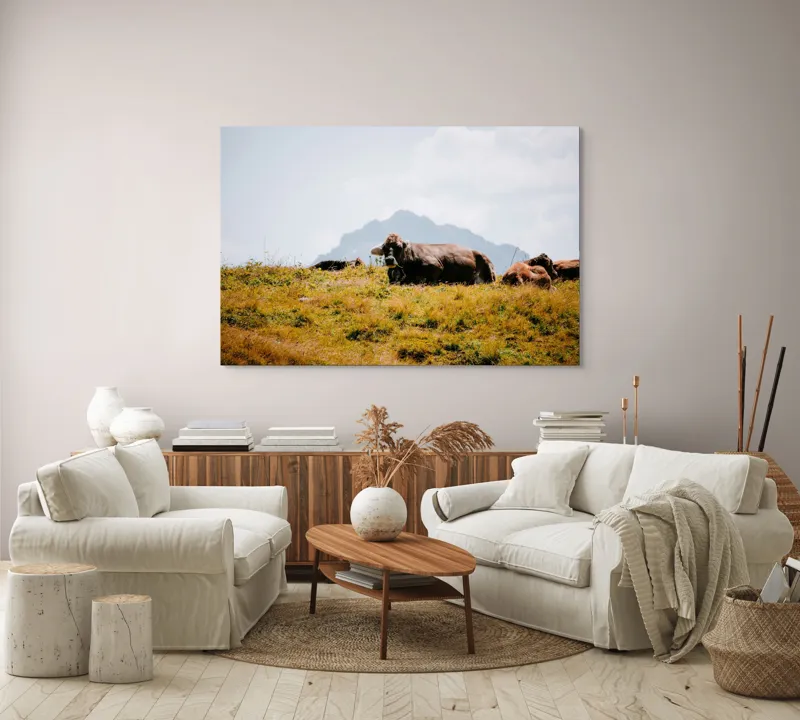 Tablou Canvas, "Bivolii odihnindu-se pe deal însorit", Peisaj, Munți, Iarbă, Vaci, Cer, Nori, Natură, Relaxare, 150 x 100 cm – poza 3