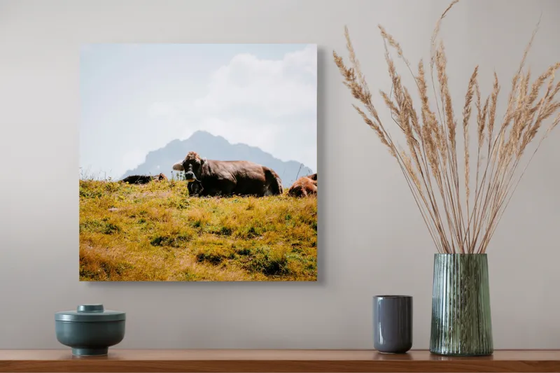 Tablou Canvas, "Bivolii odihnindu-se pe deal însorit", Peisaj, Munți, Iarbă, Vaci, Cer, Nori, Natură, Relaxare, 50 x 50 cm – poza 4