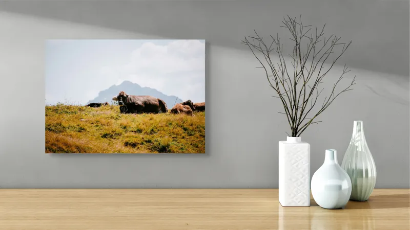Tablou Canvas, "Bivolii odihnindu-se pe deal însorit", Peisaj, Munți, Iarbă, Vaci, Cer, Nori, Natură, Relaxare, 54 x 39 cm – poza 3
