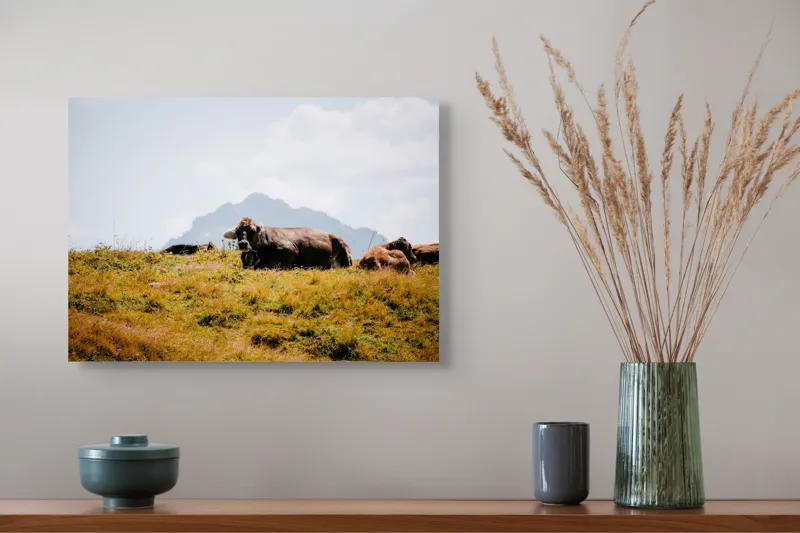 Tablou Canvas, "Bivolii odihnindu-se pe deal însorit", Peisaj, Munți, Iarbă, Vaci, Cer, Nori, Natură, Relaxare, 54 x 39 cm – poza 4
