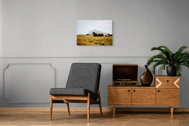 Tablou Canvas, "Bivolii odihnindu-se pe deal însorit", Peisaj, Munți, Iarbă, Vaci, Cer, Nori, Natură, Relaxare, 70 x 50 cm – poza 4