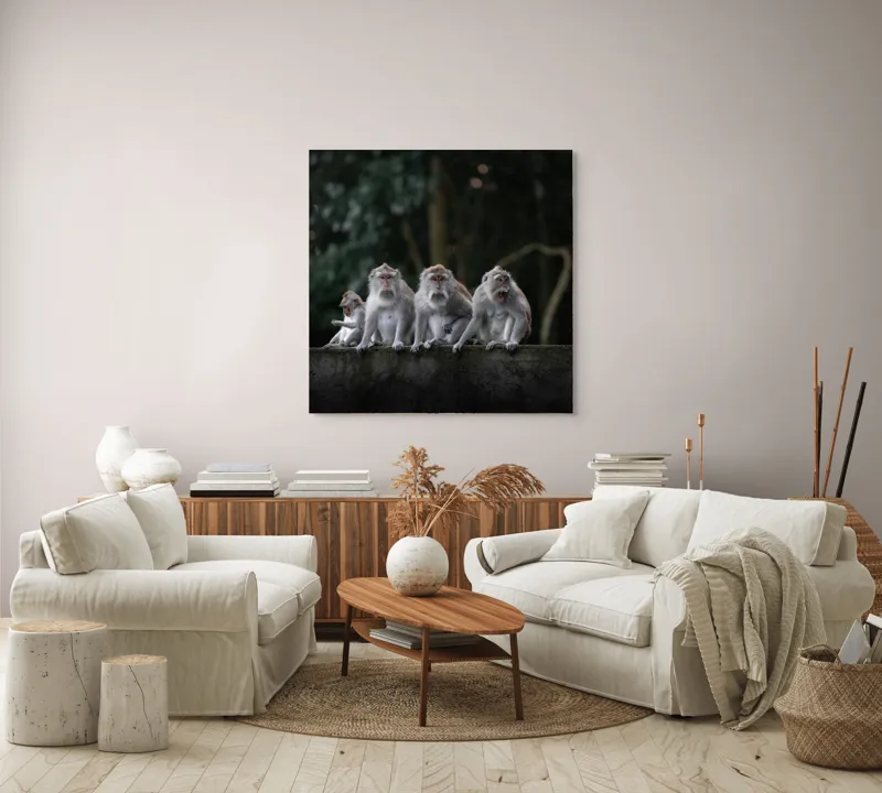 Tablou Canvas, "Grup de maimuțe pe zid verde", Scenă, Maimuțe, Grup, Natură, Copaci, Fundal, Zid, Trooping, 100 x 100 cm – poza 3