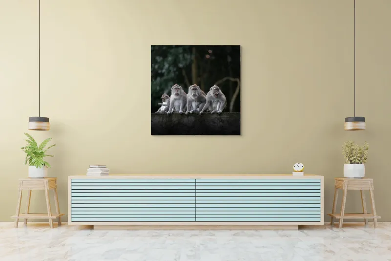 Tablou Canvas, "Grup de maimuțe pe zid verde", Scenă, Maimuțe, Grup, Natură, Copaci, Fundal, Zid, Trooping, 100 x 100 cm – poza 5