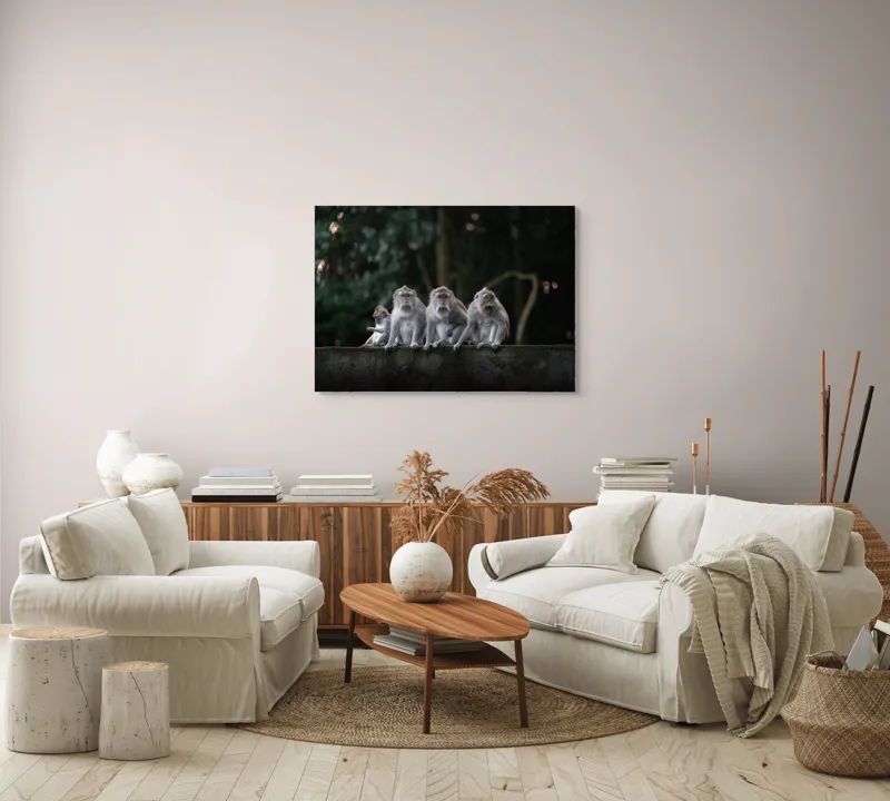 Tablou Canvas, "Grup de maimuțe pe zid verde", Scenă, Maimuțe, Grup, Natură, Copaci, Fundal, Zid, Trooping, 100 x 70 cm – poza 3