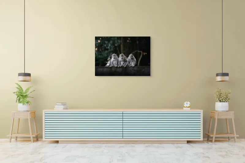 Tablou Canvas, "Grup de maimuțe pe zid verde", Scenă, Maimuțe, Grup, Natură, Copaci, Fundal, Zid, Trooping, 100 x 70 cm – poza 4