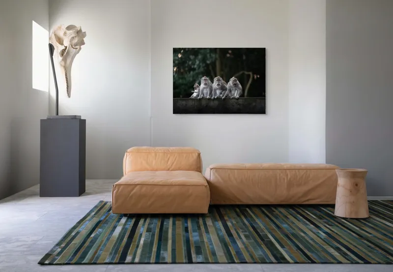 Tablou Canvas, "Grup de maimuțe pe zid verde", Scenă, Maimuțe, Grup, Natură, Copaci, Fundal, Zid, Trooping, 100 x 70 cm – poza 7