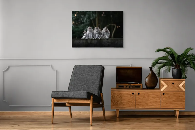Tablou Canvas, "Grup de maimuțe pe zid verde", Scenă, Maimuțe, Grup, Natură, Copaci, Fundal, Zid, Trooping, 100 x 70 cm – poza 8