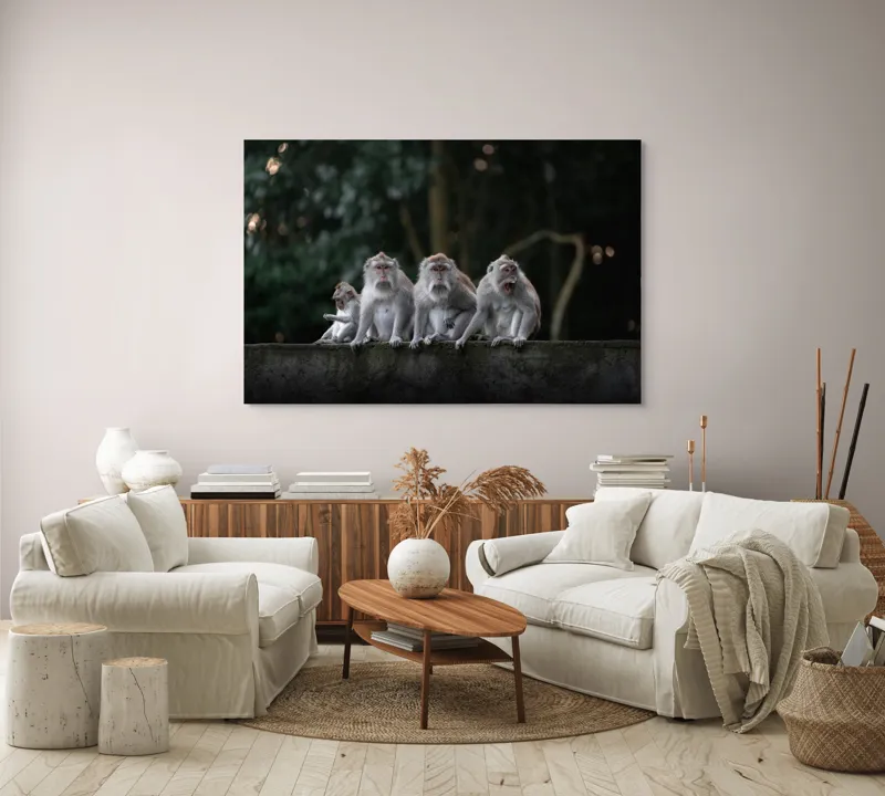 Tablou Canvas, "Grup de maimuțe pe zid verde", Scenă, Maimuțe, Grup, Natură, Copaci, Fundal, Zid, Trooping, 150 x 100 cm – poza 3