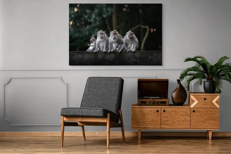 Tablou Canvas, "Grup de maimuțe pe zid verde", Scenă, Maimuțe, Grup, Natură, Copaci, Fundal, Zid, Trooping, 150 x 100 cm – poza 8